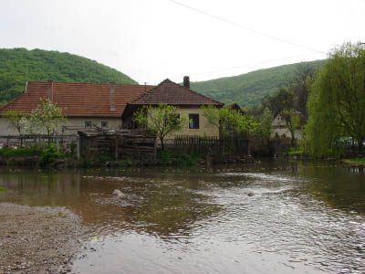 DSC02522