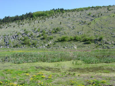 DSC02547