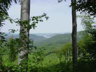 DSC02605