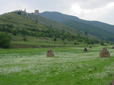 DSC03373