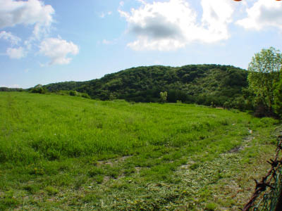 DSC04603