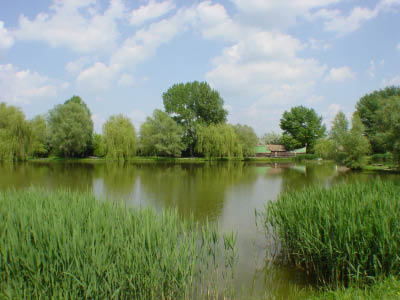 DSC04664