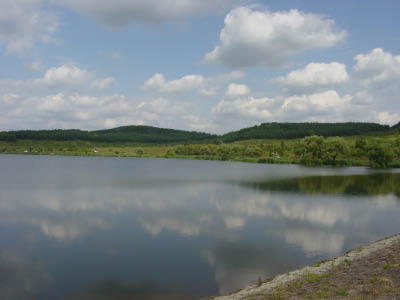 DSC05411