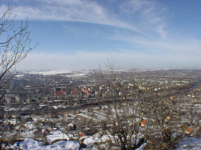 DSC06788
