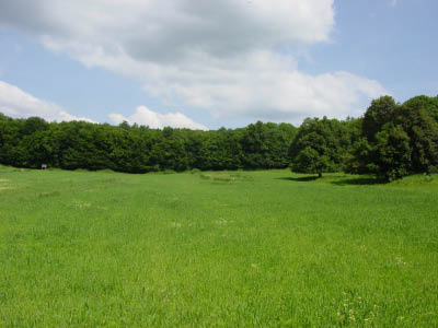 DSC07357