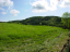 DSC04603